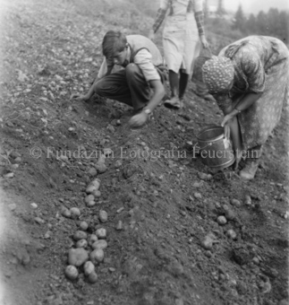 Bezeichnung Hülle: Bauern, Alltag, Brauchtum, Ernte, tägliches Brot, Bauernarbeit, Alpfahrt