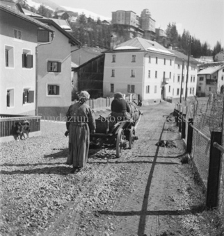 Hund beim Zaun links, Funtanatscha, Scuol, Bezeichnung Hülle: Tiere im Zug. Pferde / Kühe + div