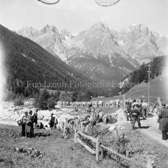 Alpabfahrt, S-charl, Bezeichnung Hülle: Alpabfahrt