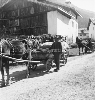 Baumstämme am Wegesrand, «Crusch Alba & Parc Naziunal» im Hintergrund, Alpabfahrt, S-charl, Bezeichnung Hülle: Alpabfahrt