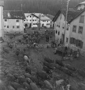 Alpabfahrt, Bezeichnung Hülle: Alpabfahrt