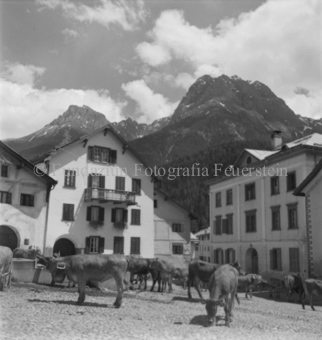 Alpabfahrt, Scuol, Bezeichnung Hülle: Alpentladung