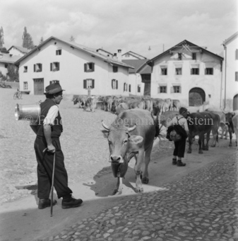 Alpabfahrt, Scuol, Bezeichnung Hülle: Alpentladung