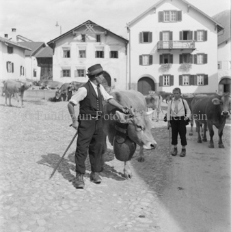 Alpabfahrt, Scuol, Bezeichnung Hülle: Alpentladung