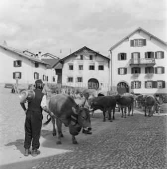 Alpabfahrt, Scuol, Bezeichnung Hülle: Alpentladung
