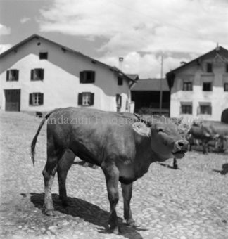 Alpabfahrt, Scuol, Bezeichnung Hülle: Alpentladung