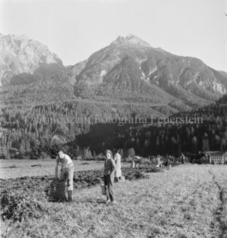 Bezeichnung Hülle: Bauern, Alltag, Brauchtum, Ernte / tagl. Brot / Bauernarbeit / Alpfahrt