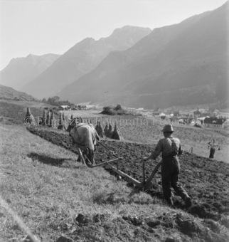 Getreidegarben im Hintergrund, Bezeichnung Hülle: Bauern, Alltag, Brauchtum, Ernte / tagl. Brot / Bauernarbeit / Alpfahrt