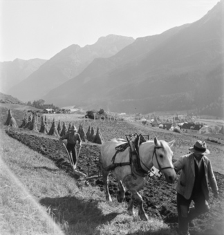 Getreidegarben im Hintergrund, Bezeichnung Hülle: Bauern, Alltag, Brauchtum, Ernte / tagl. Brot / Bauernarbeit / Alpfahrt