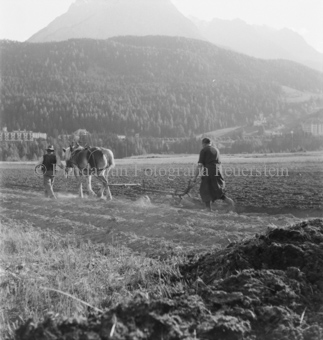 Bezeichnung Hülle: Bauern, Alltag, Brauchtum, Ernte / tagl. Brot / Bauernarbeit / Alpfahrt