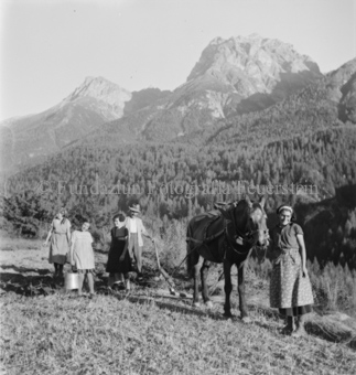 Bezeichnung Hülle: Bauern, Alltag, Brauchtum, Ernte / tagl. Brot / Bauernarbeit / Alpfahrt