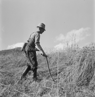Bezeichnung Hülle: Bauern, Alltag, Brauchtum, Ernte / tagl. Brot / Bauernarbeit / Alpfahrt