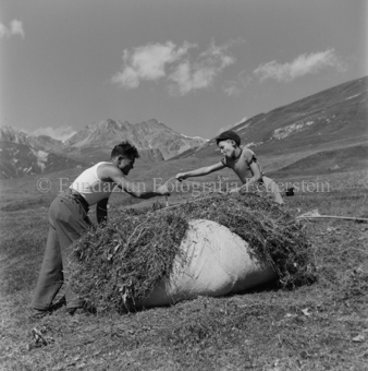 Bezeichnung Hülle: Bauern, Alltag, Brauchtum, Ernte / tagl. Brot / Bauernarbeit / Alpfahrt