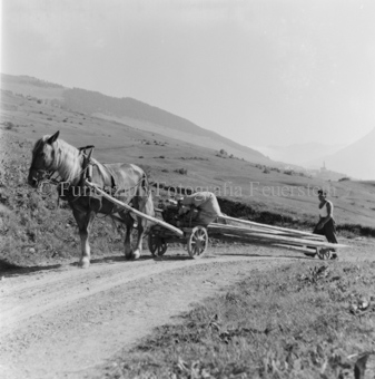 Bezeichnung Hülle: Bauern, Alltag, Brauchtum, Ernte / tagl. Brot / Bauernarbeit / Alpfahrt