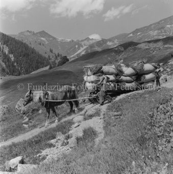 Bezeichnung Hülle: Bauern, Alltag, Brauchtum, Ernte / tagl. Brot / Bauernarbeit / Alpfahrt
