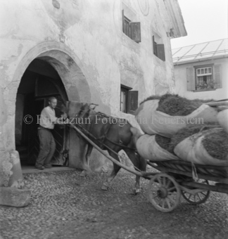 Bezeichnung Hülle: Bauern, Alltag, Brauchtum, Ernte / tagl. Brot / Bauernarbeit / Alpfahrt