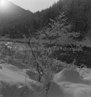 Verschneiter Strauch in Schneelandschaft am Fluss