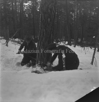 Zwei Männer mit Trummsäge an Baum im Schnee