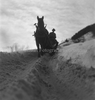 vom Boden fotografiert, Bezeichnung Hülle: Bauern, Alltag, Brauchtum, Holzarbeiten im Winter