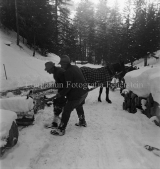 Drei Männer laden Baumstämme auf Pferdeschlitten im Schnee