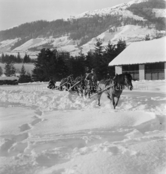 Tross Pferdeschlitten mit Holzarbeitern im Schnee