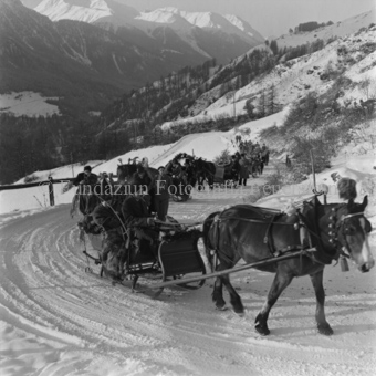 Tross Pferdeschlitten auf verschneiter Strasse