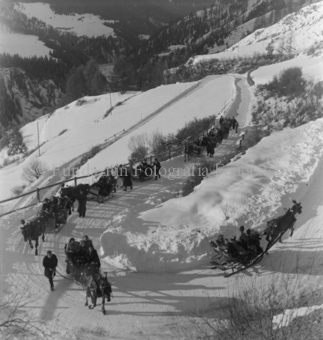 Pferdeschlittentross in verschneiter Kurve