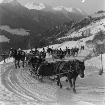 Festliche Pferdeschlitten auf verschneiter Bergstrasse