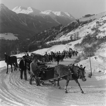 Festliche Pferdeschlitten auf verschneiter Bergstrasse