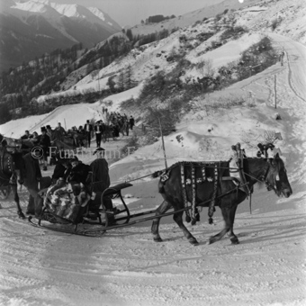 Festliche Pferdeschlitten auf verschneiter Bergstrasse
