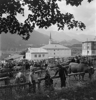 Zwei Frauen und Mann vor Zaun, hinten Rindermarkt