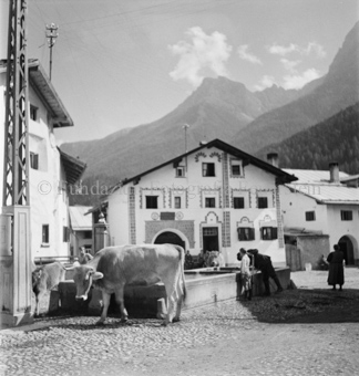Dorfplatz mit Brunnen, Menschen und Kühe darum