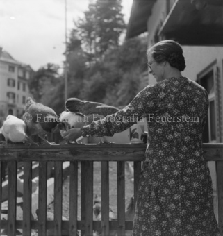 Frau füttert Hühner in Gehege und auf Zaun