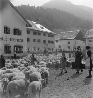 Schafherde auf Dorfplatz, Menschen dazwischen, Haus Edelweiss