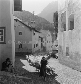 Hirtin mit Schafherde Pflasterstrasse in Dorf hinaufgehend, Fotograf