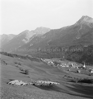 Schafherde auf Alpweide, Blick auf Dorf im Tal