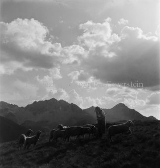 Frau in Tracht, Schafe, Berge und Wolken