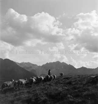 Frau in Tracht mit Schafherde, Berge und Wolken