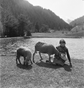 Mädchen mit Schaf und Lamm vor Teich