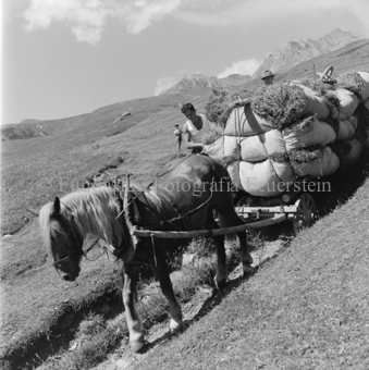 Pferd beladenen Heuwagen den Berg runterziehend, Bauern, Kind im Hintergrund