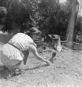 Frau in Kleid Eichhörnchen fütternd