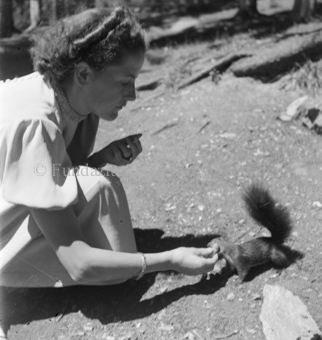 Frau füttert Eichhörnchen am Boden mit einer Nuss