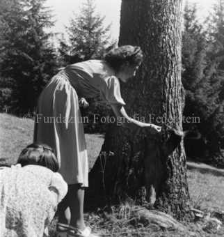 Frau füttert Eichhörnchen am Baumstamm