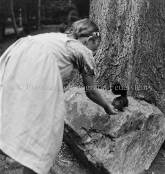 Mädchen Eichhörnchen auf einem Stein fütternd