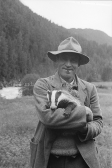 Bezeichnung Hülle: Tiere, Auerhenne / Frosch / Marder / Maus / Spuren / Dachsen / u. einzelne Tiere