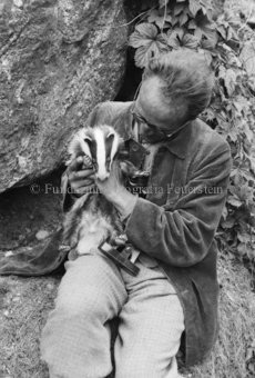 Bezeichnung Hülle: Tiere, Auerhenne / Frosch / Marder / Maus / Spuren / Dachsen / u. einzelne Tiere