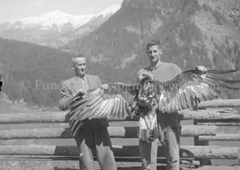 Bezeichnung Hülle: Adler, Auerhennen in Thusis 6 x 9 cm, 1945