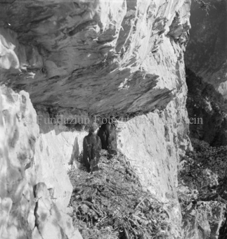 Steinadler, Bezeichnung Hülle: Adler