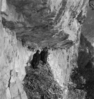 Steinadler, Bezeichnung Hülle: Adler