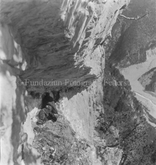 Steinadler, Bezeichnung Hülle: Adler